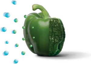 UPO Jääkaappi/pakastin NRF5612 Valkoinen