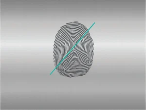 UPO Jääkaappi/pakastin NRF5612 Valkoinen